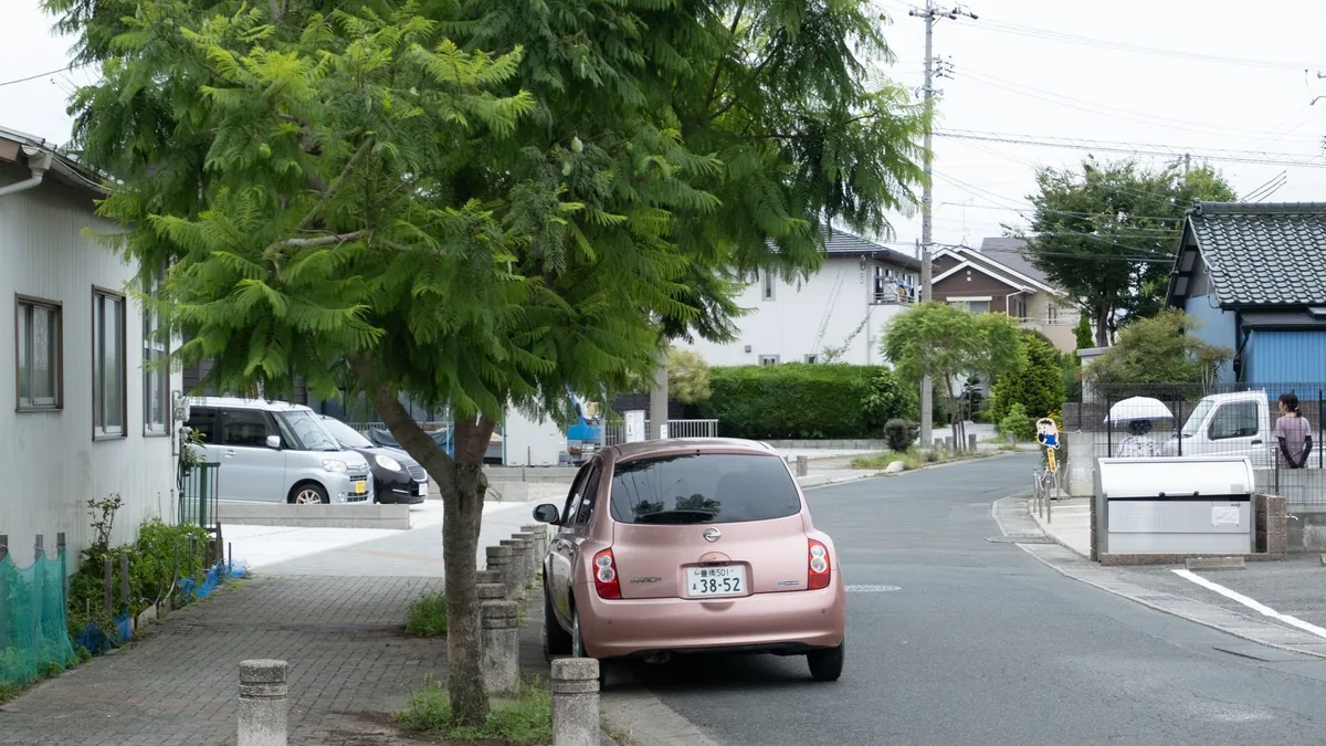 住宅地の庭に立つ庭木と敷地まわりのようす