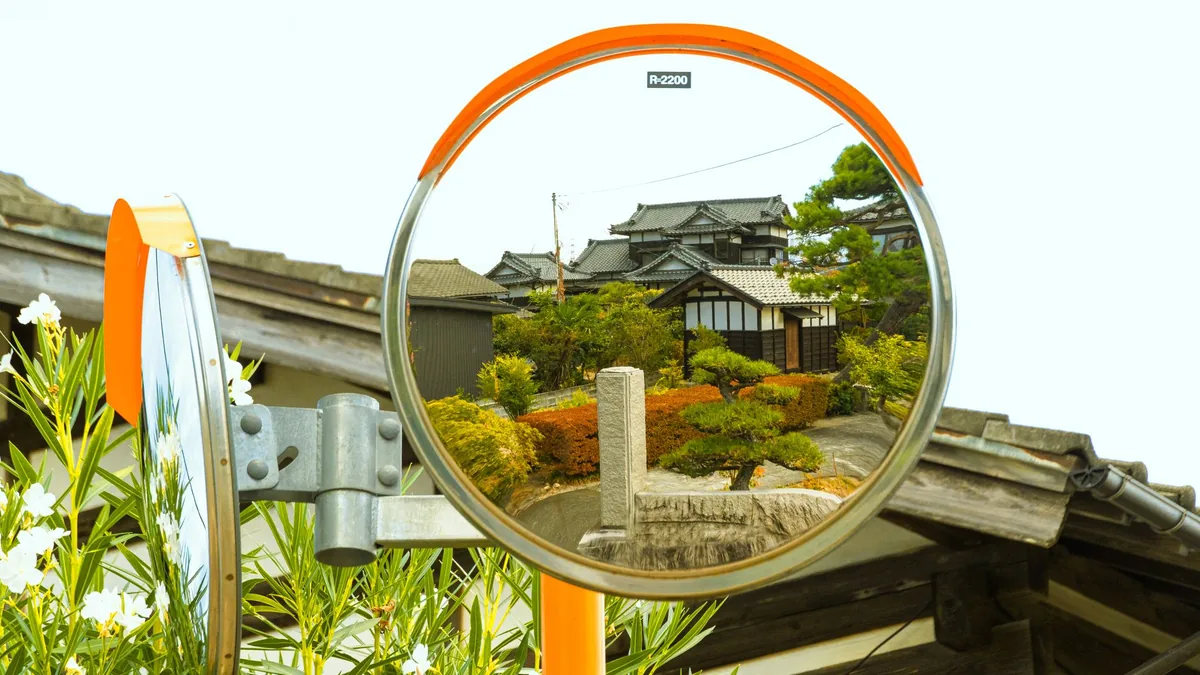 住宅の敷地に立っている庭木と、そのまわりの地面の様子